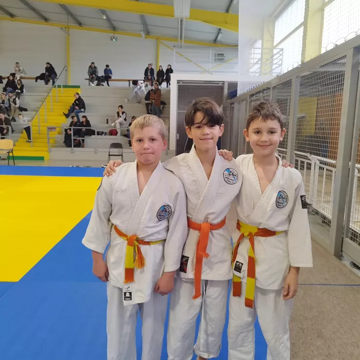 ad-judo-0812259