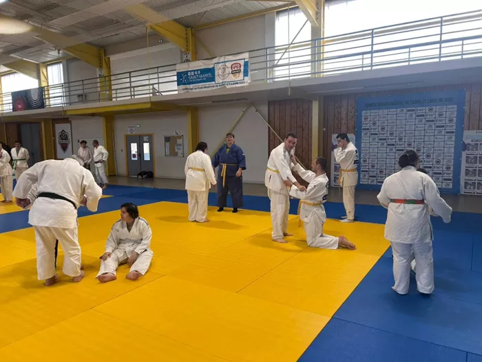 ad-judo-2212254