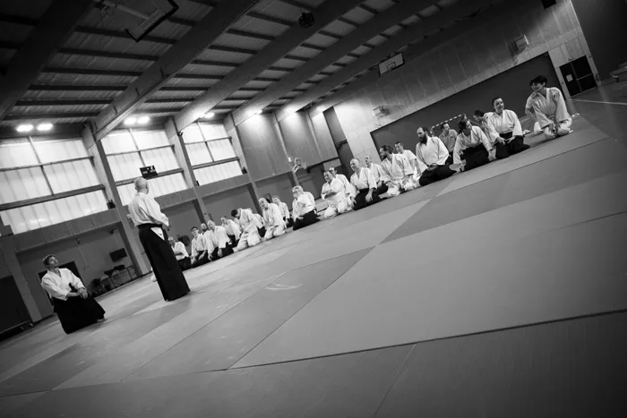 aikido-1112253