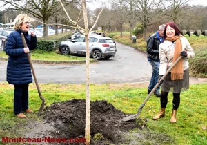 Montceau-les-Mines – Plantation d’un arbre de vie