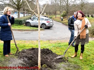 arbre-de-vie-montceau-16122510