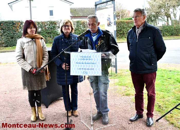 arbre-de-vie-montceau-1612253