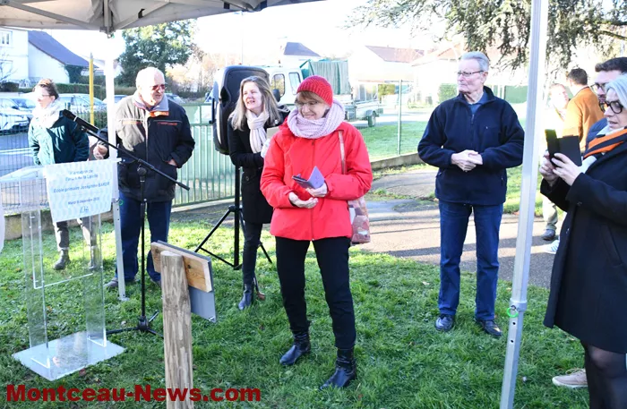 arbre-laicite-1012254