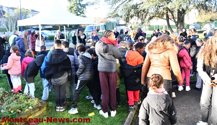 arbre-laicite-1012255