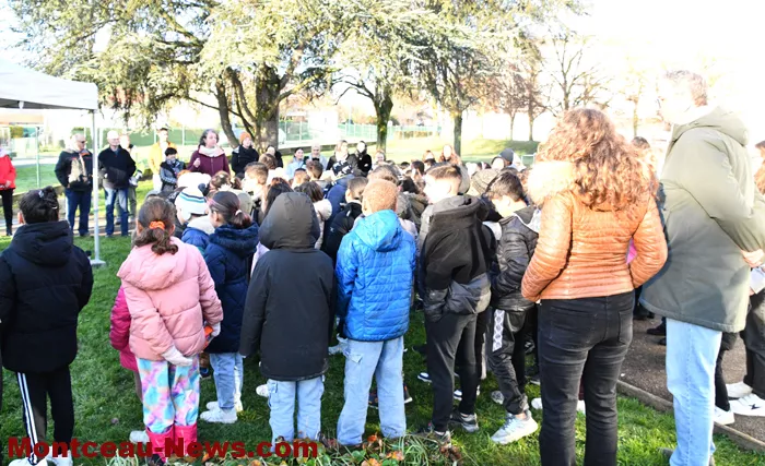 arbre-laicite-1012256