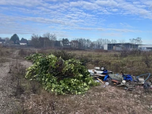 dechet-lecteur-1712253