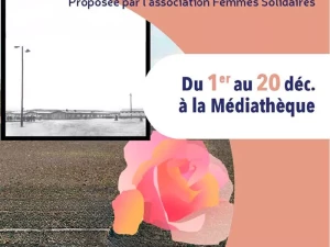 femmes-solidaires-021225