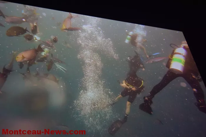 festival-video-montceau-08122517