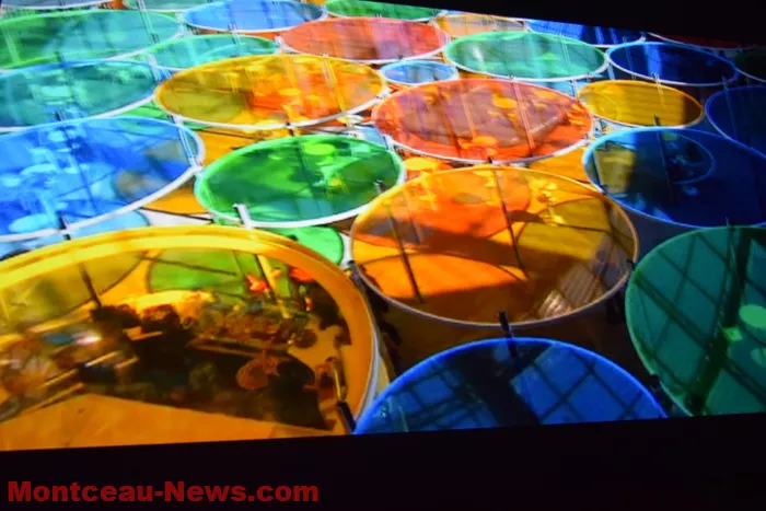 festival-video-montceau-08122523