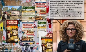 La Dermatose Nodulaire Contagieuse (DNC)