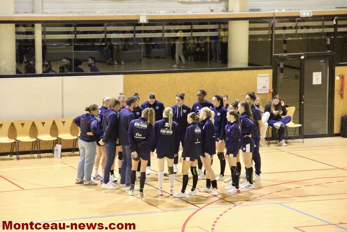 hand-dijon-sanvignes-18122511