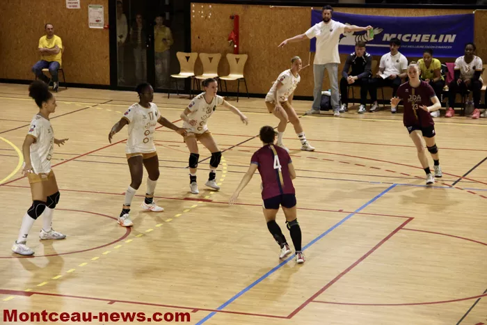 hand-dijon-sanvignes-18122513