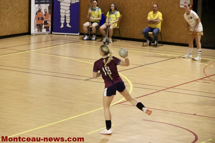 hand-dijon-sanvignes-18122515