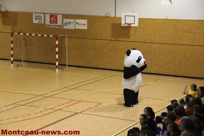 hand-dijon-sanvignes-18122519