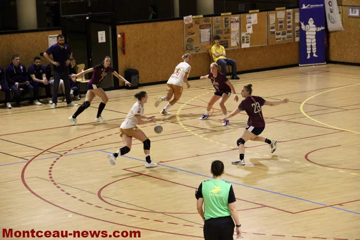 hand-dijon-sanvignes-18122521