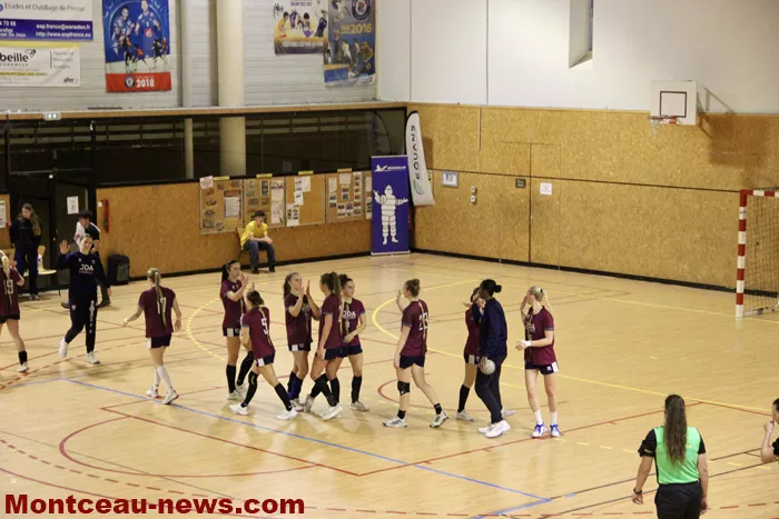 hand-dijon-sanvignes-18122528