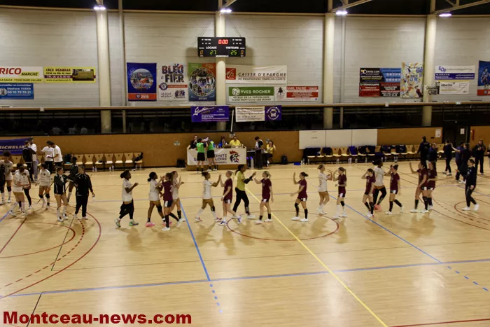 hand-dijon-sanvignes-18122530