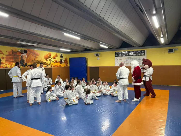 judo-2212253