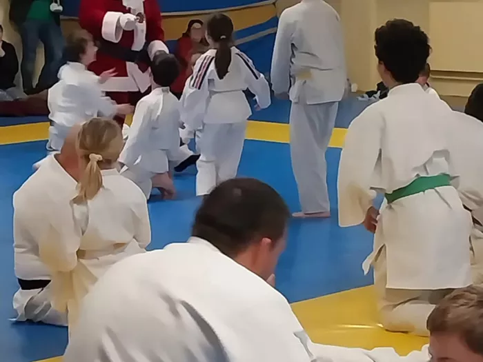 judo-2212257