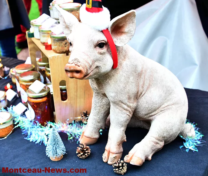 marche-noel-sanvignes-14122516