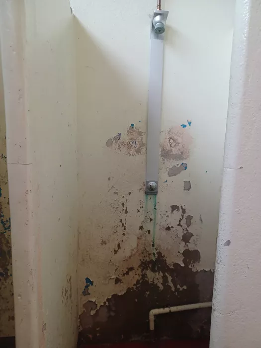 selvez-salengro-1012254