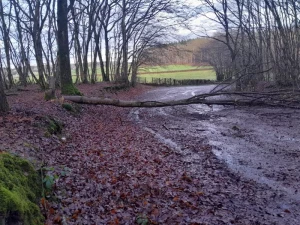 Saint-Vallier : Coup de gueule !