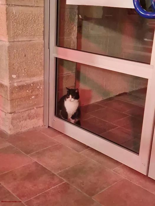 telethon-les-bizots-0612254