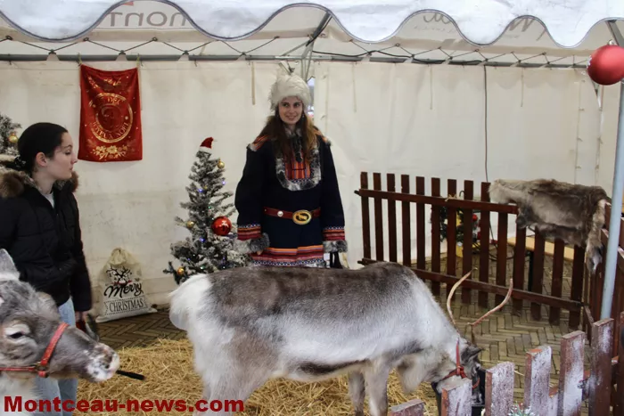 ville-noel-montceau-21122522