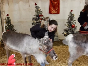 ville-noel-montceau-21122523