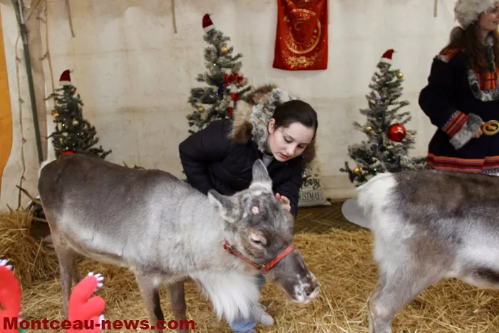 ville-noel-montceau-21122523