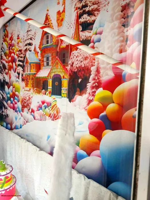 vitrine-commercants-noel-1312256