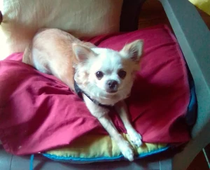 Un lecteur nous écrit…