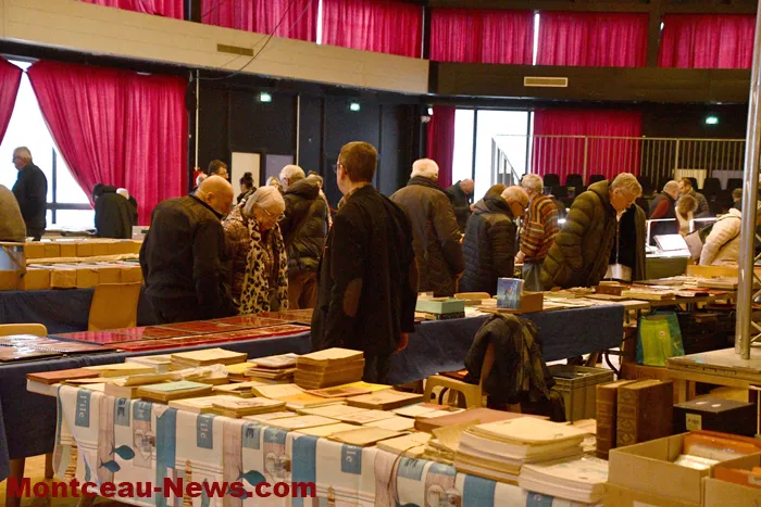 collection-montceau-2001265