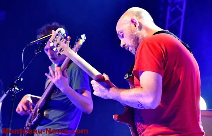 concert-voliere-2601267