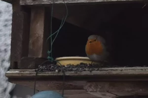 Nos lecteurs ont toujours le bon reflex(e)