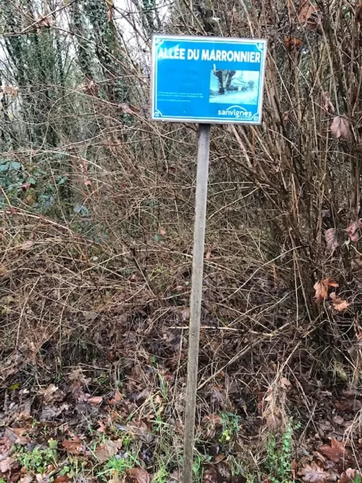 depot-sauvages-2801262