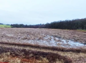 Blanzy  : Les promeneurs s’interrogent…