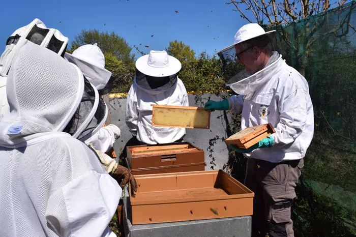 libre-regard-2901261