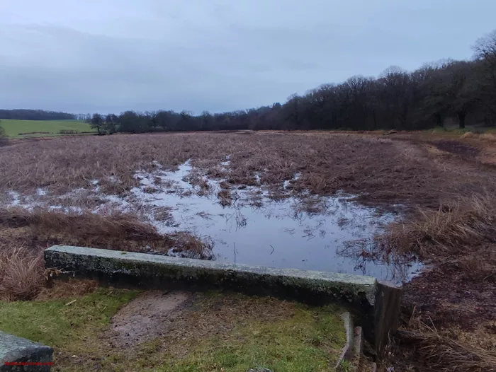 petit-etang-blanzy-2901261