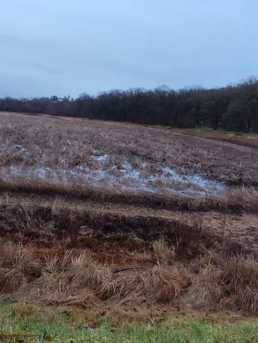 petit-etang-blanzy-2901262