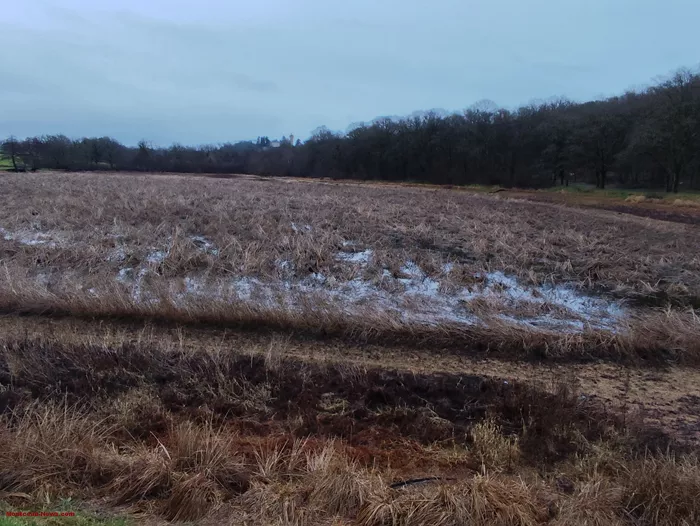 petit-etang-blanzy-2901267