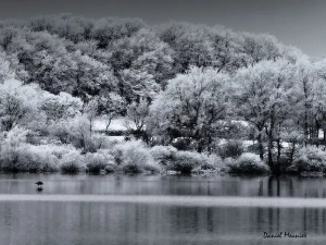 Parenthèse poétique