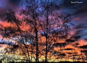 Parenthèse poétique