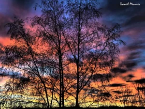 poeme-daniel-meunier-1101261