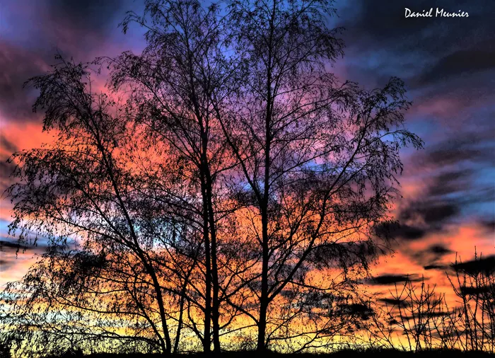 poeme-daniel-meunier-1101261