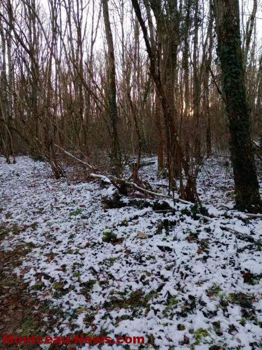 rando-gilles-02012624