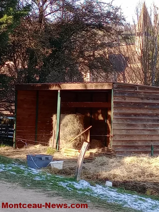 rando-gilles-0201264