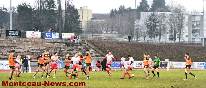 rugby-26012610