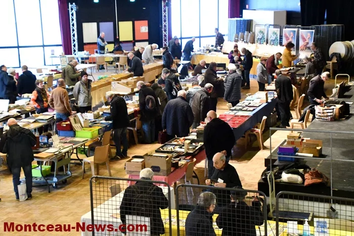 salon-multicollection-130125161032