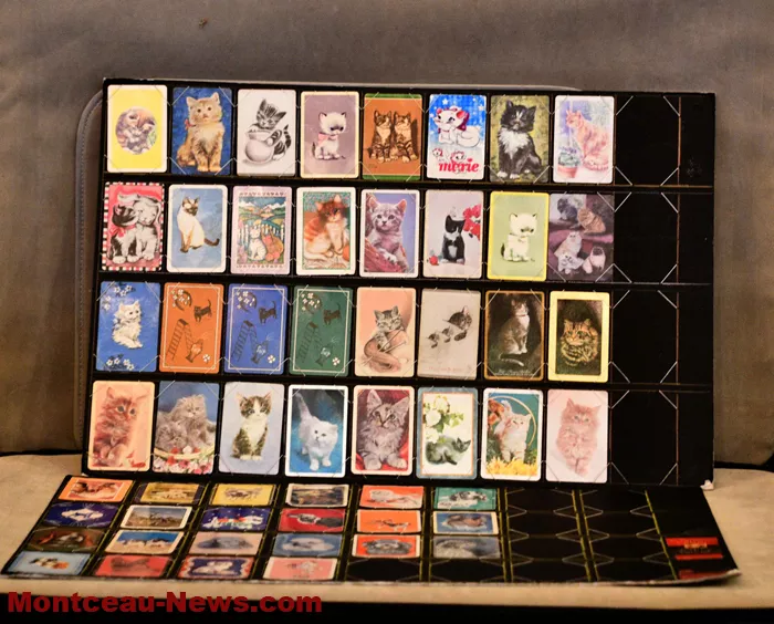 salon-multicollections-2001268